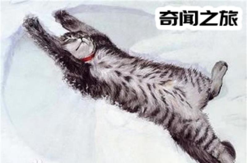 好奇心害死猫的故事由来（好奇心害死猫典故）