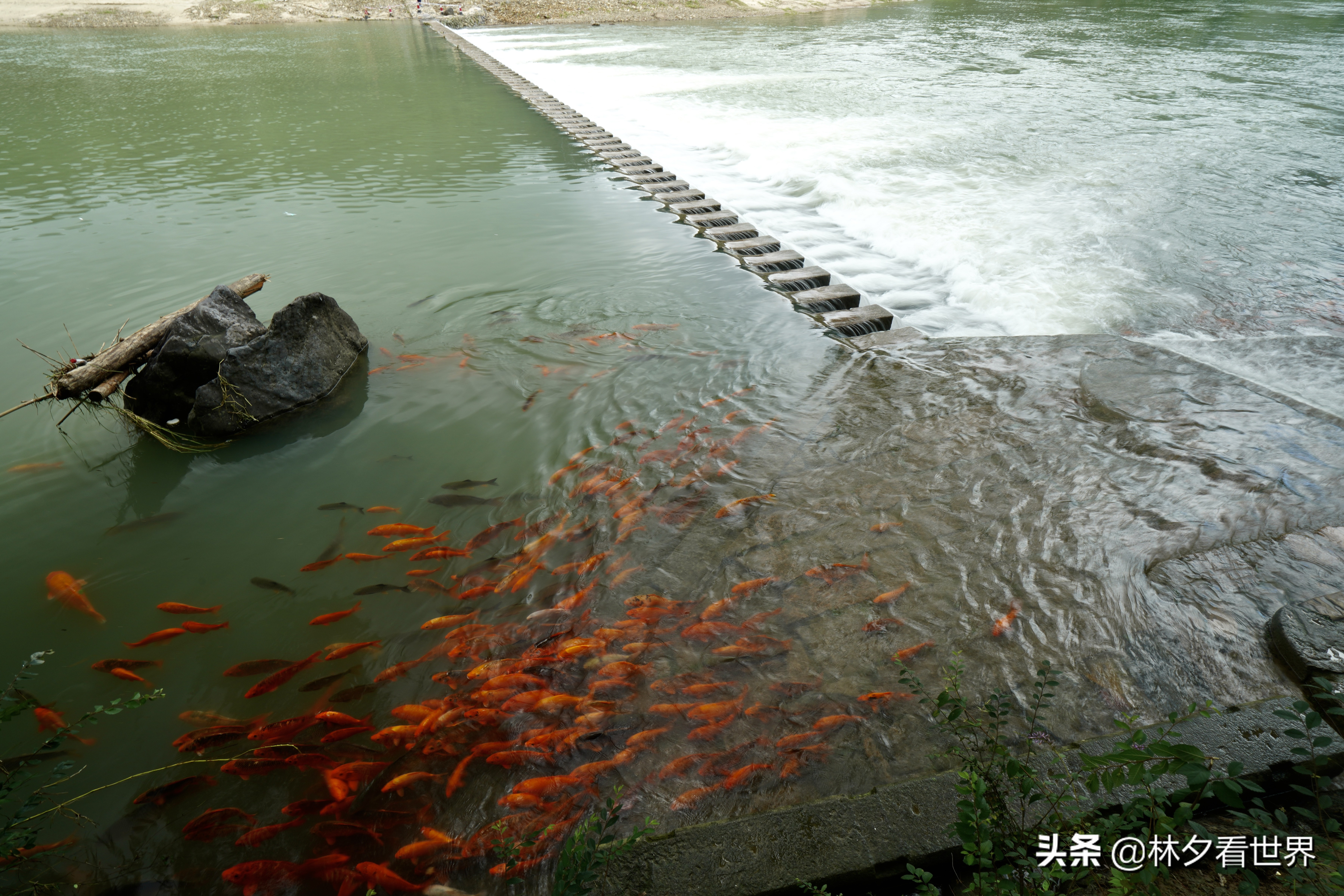 温州六个最值得打卡的地方（温州哪里好玩的景点推荐）