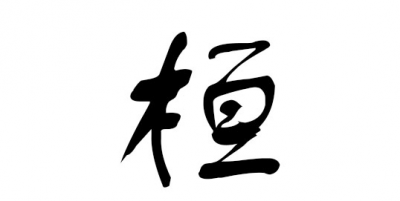 带有桓字的男孩名字（桓字放男孩名字里好不好）