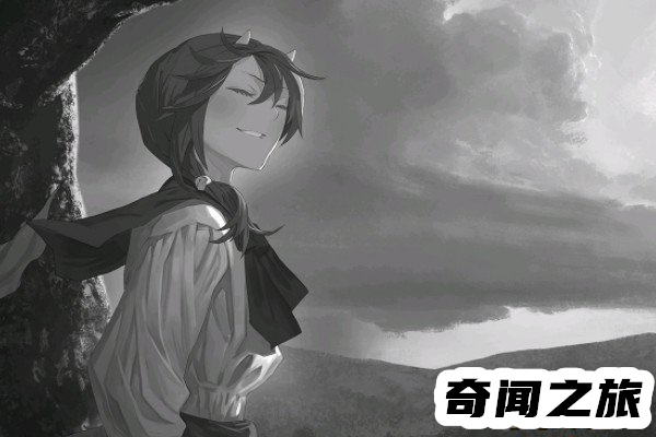 原耽是什么意思原创耽美小说的简称(唯美浪漫的小说类型)