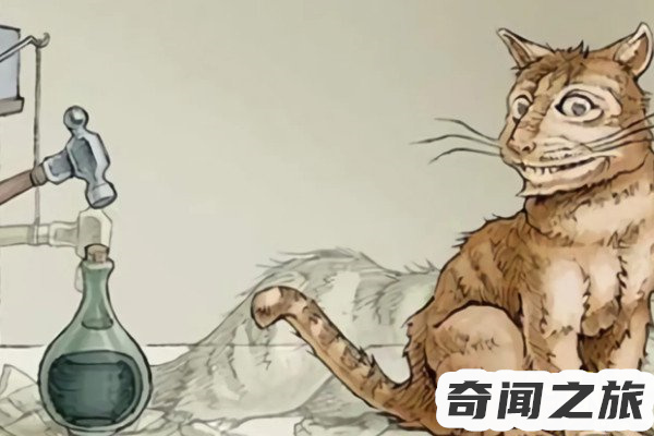 薛定谔的猫是用来解释什么的（薛定谔的猫意义何在）