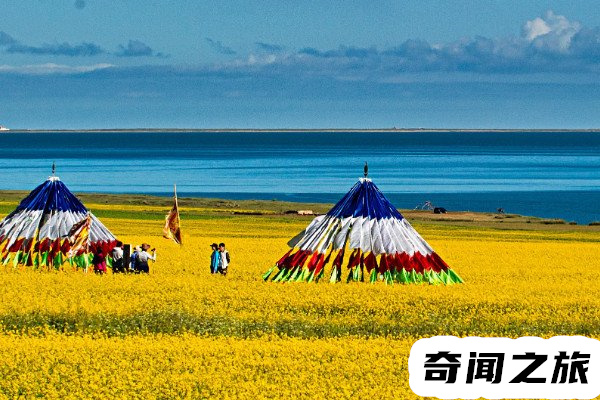 中国最大的咸水湖青海湖的面积（面积为4583平方公里深度最大能够达到32.8厘米