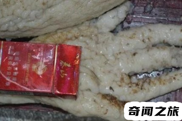 山东小伙子电死外星人（使用橡胶材料制作而成）