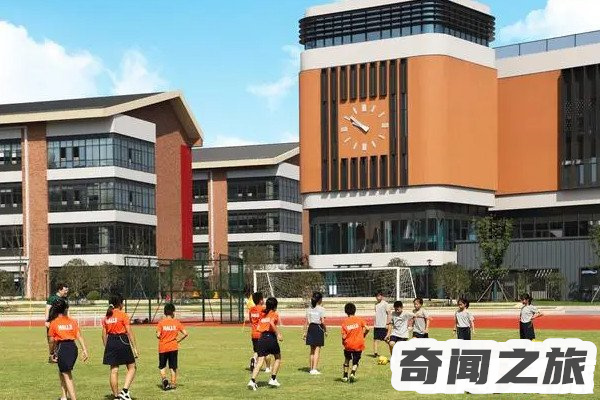 为什么不建议孩子去私立学校四点原因(背后暗藏的危害大)