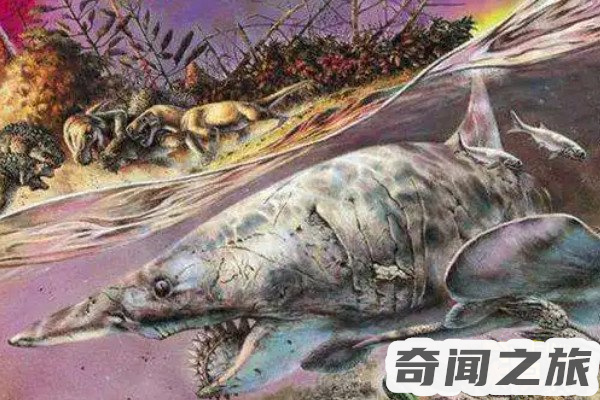 地球上经过几次生物大灭绝（地球现在是第几次灭绝）