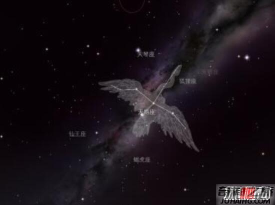 宇宙最大的星球排名（盾牌座uy是一颗红超巨星）