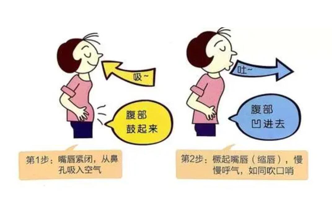 腹式呼吸的原理是什么