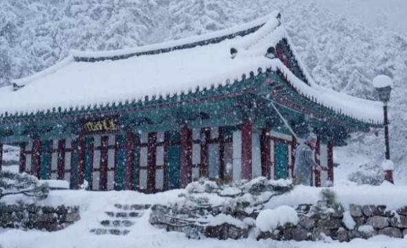 东北的雪为什么不大了（你永远不知道东北的雪到底有多深）