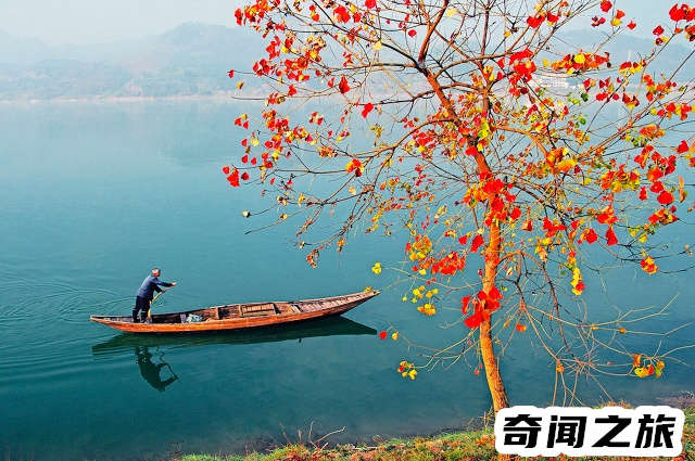 杭州有哪些旅游景点值得一去（杭州市旅游攻略必去景点大全）