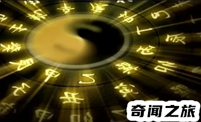 2023年属兔百年难遇（2023黑兔年会发生什么事情）