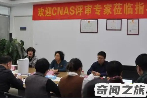 cnas评审费用（cnas收费标准）