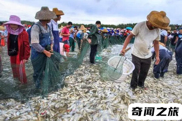 处暑意味着夏季气温将达到最热的时候