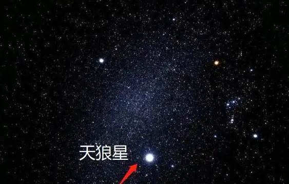 天狼星人真的存在吗