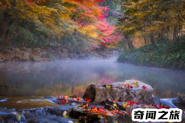 杭州有哪些旅游景点值得一去（杭州市旅游攻略必去景点大全）