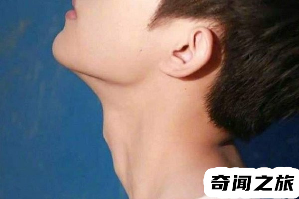 男生的喉结为啥不能碰（男生的喉结不能碰的原因）