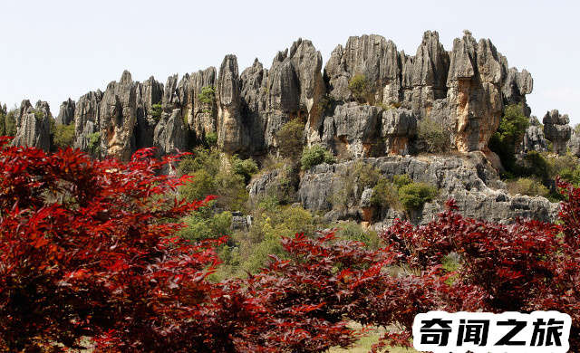 杭州有哪些旅游景点值得一去（杭州市旅游攻略必去景点大全）