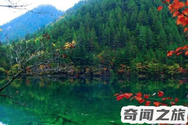 去九寨沟旅游需要多少钱(预计总费用在5000-10000元左右)