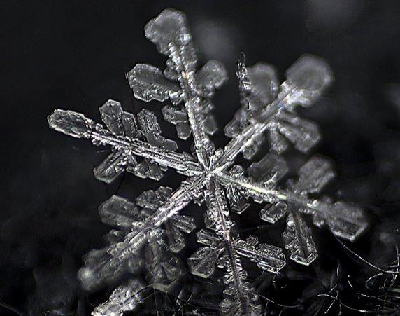 为何雪花都有对称造型（雪花形状那么规则）