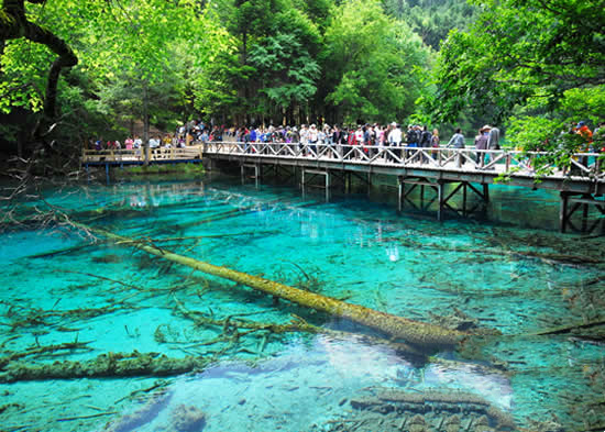 我国的十大旅游胜地有哪些（中国最值得一去的十大旅游胜地）