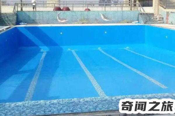 标准游泳池建设预算（建设一个游泳池需要多少费用）