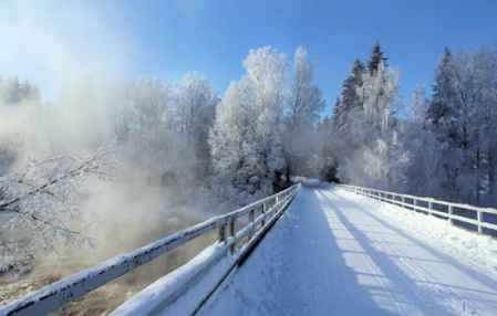 大雪节气的优美祝福语(大雪节气祝福语精选大全）