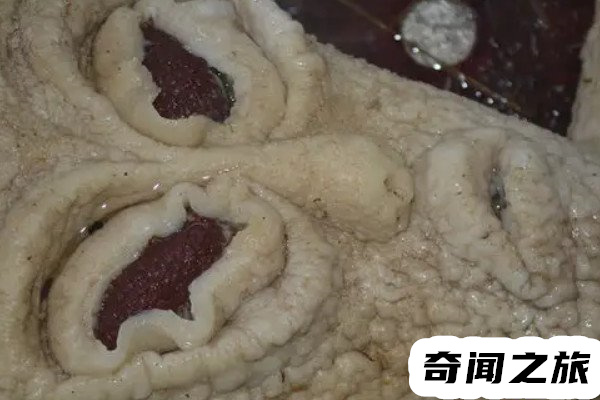 山东小伙子电死外星人（使用橡胶材料制作而成）