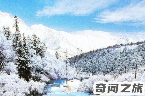 去九寨沟旅游需要多少钱(预计总费用在5000-10000元左右)