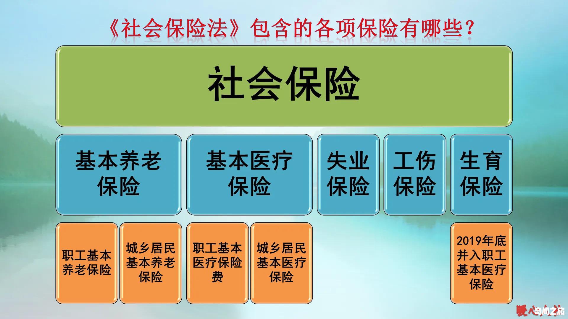 个人交社保保险多少钱（个人缴纳社保里面包含哪些保险）