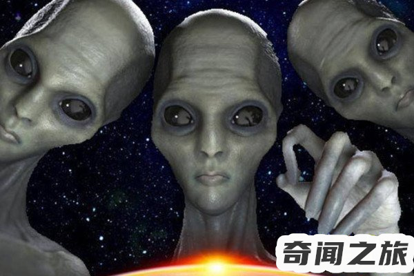 巴西外星人目击事件(2名外星人被活捉)