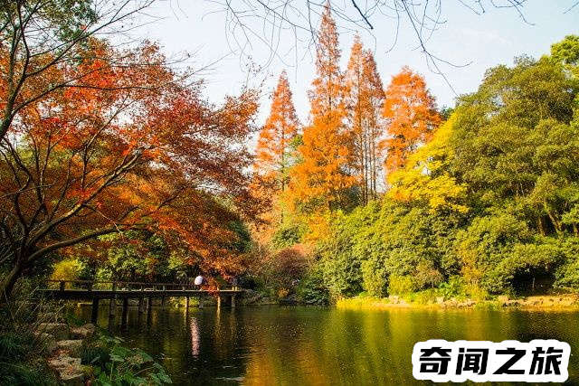 杭州有哪些旅游景点值得一去（杭州市旅游攻略必去景点大全）