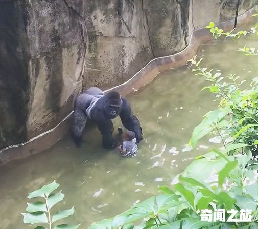 “猩猩男孩”已是两个孩子的爸爸！