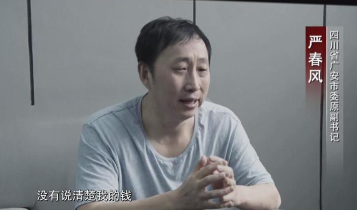 四川成都严书记事件（被老婆坑了的严书记是什么身份）