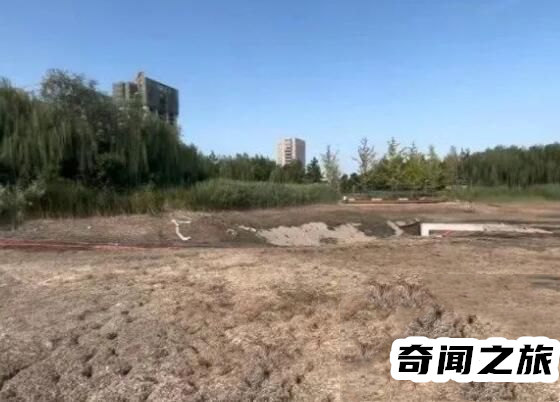 抽水捕怪鱼找到了吗(专家推测疑似“人为放生”)