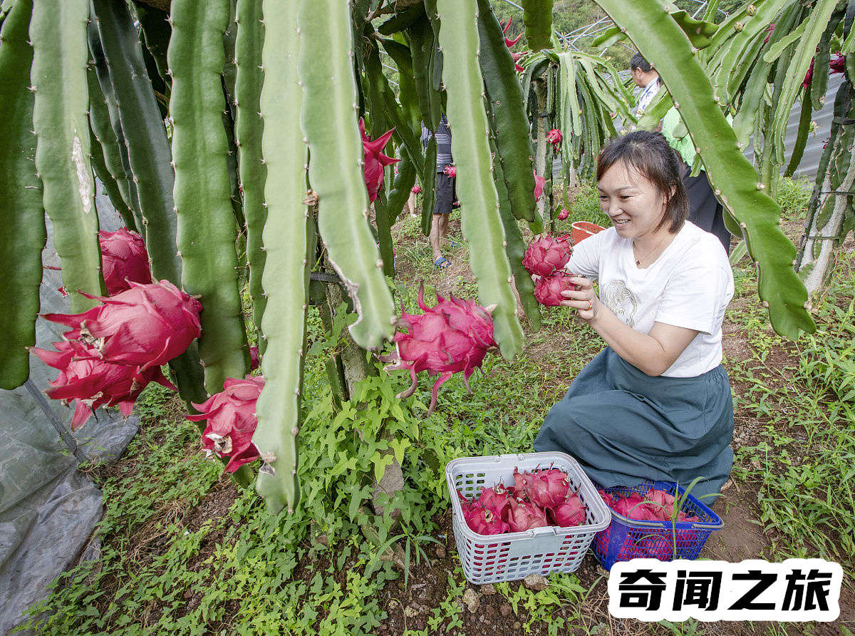 朋友乔迁新居送什么礼物比较大气（搬家送三样家富人兴旺）