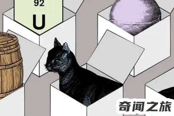 薛定谔的猫是用来解释什么的（薛定谔的猫意义何在）