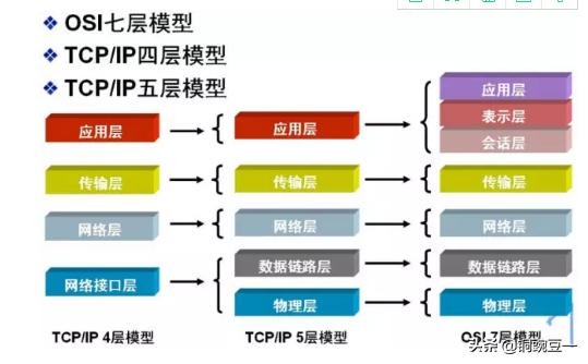 电脑知识初学入门（新手学电脑入门教程大全）