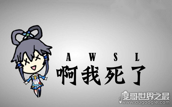 awsl的意思与来历(网络语awsl是什么梗)