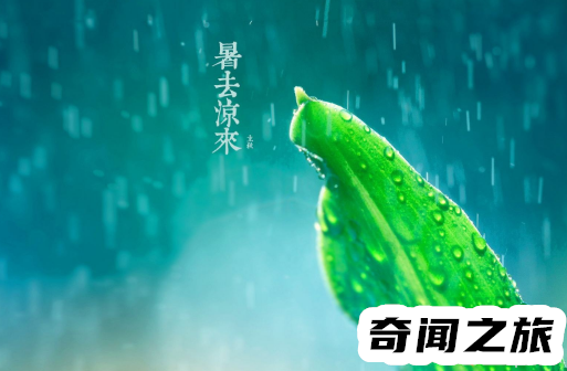 立秋后雨水多还是少好（下雨会比较好会有一个好的丰收年）