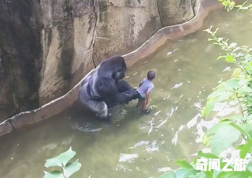 “猩猩男孩”已是两个孩子的爸爸！