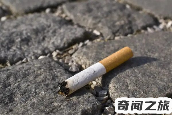 烟头中心温度可达700到800度（若未熄灭的烟头容易引起火灾）