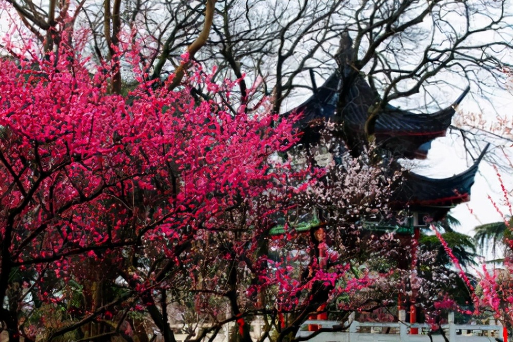 常州免费的景点有哪些地方（常州网红免费景点）