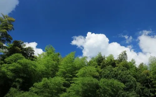 男人三伏天晒背的好处及作用和时间（三伏天晒背的神奇功效）