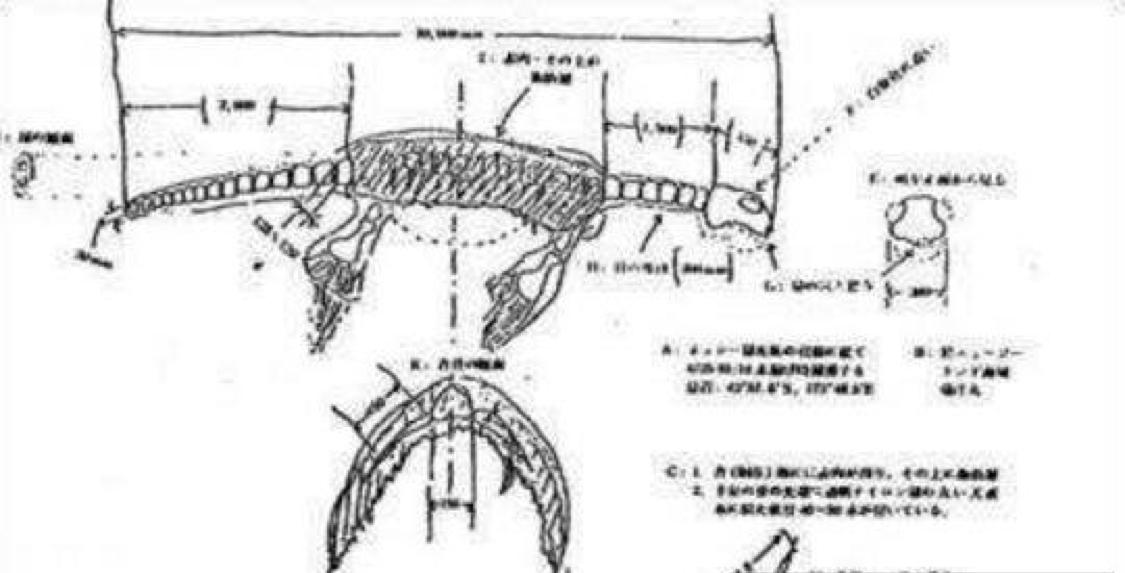 日本真实存在的水怪（日本渔船捕获了重达两吨，身长达到十多米生物）