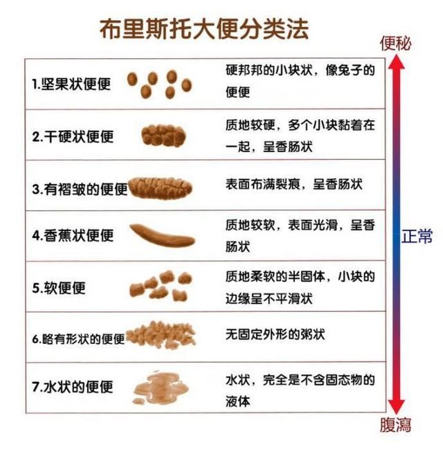 奇葩企业专门收集排泄物照片（为了训练手机的智能系统，然后造福人类）