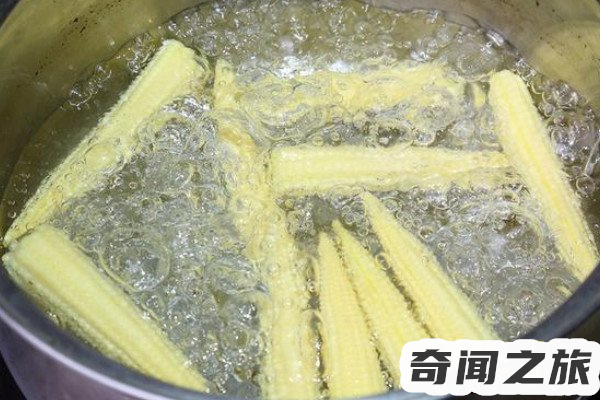 生僻字仚屳氽汆怎么读(正确读法介绍)