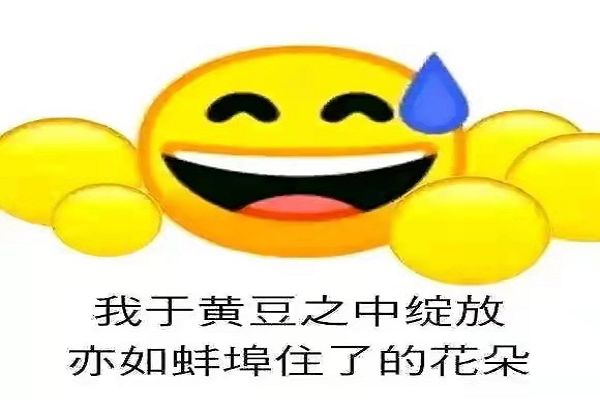 蚌埠的梗怎么来的（蚌埠这个梗是谁说的）