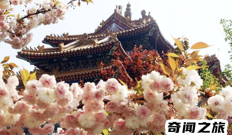 大理值得去的旅游景点（大理古城旅游攻略必去景点介绍）