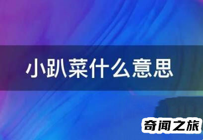 小趴菜是啥意思（比较弱实力不行指调侃人的词语）