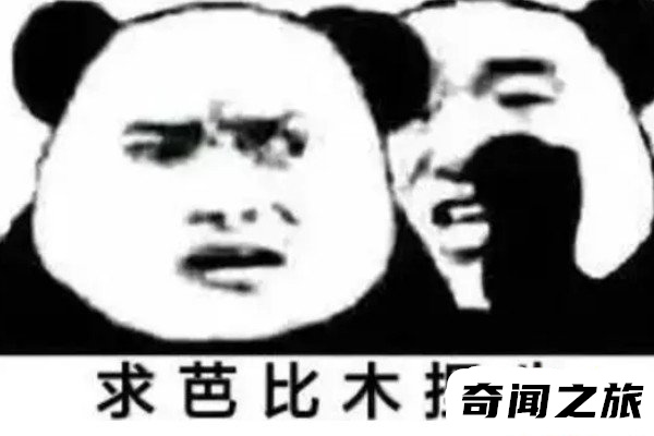 母捏牛什么意思(母捏牛是什么梗)