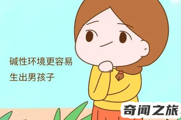 生男生女清宫图准确率有多高(没有科学依据)